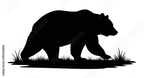 Black silhouette of a bear walking through grass on World Wildlife Day, a vector illustration design element featuring a wild animal in a natural setting.