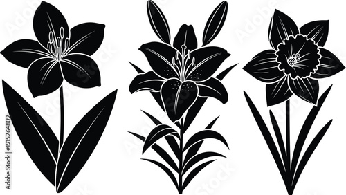 Black Vector Silhouette Set of Beautiful Spring Flowers Featuring Detailed Lily and Daffodil Blossoms Isolated on White Background for Floral Garden and Nature Design