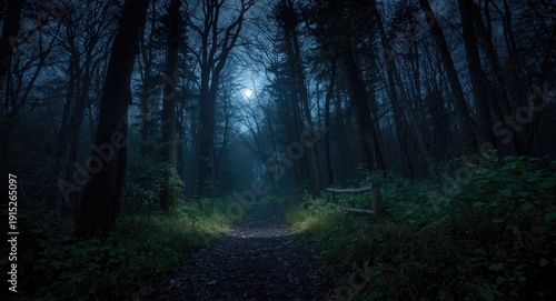 phantasmagoric forest trail lit by moonlight for Halloween effect