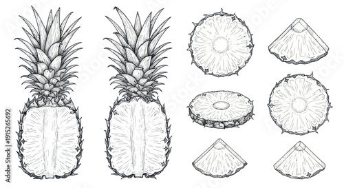 Handdrawn black and white pineapple fruit illustrations featuring whole, halved, and sliced pieces, ideal for summer food and beverage branding, healthy tropical cuisine menus, and