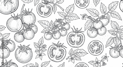 Detailed sketch of ripe garden tomatoes on vines with green leaves and blossoms suitable for culinary themed textile prints, grocery store displays, or healthy eating promotions.