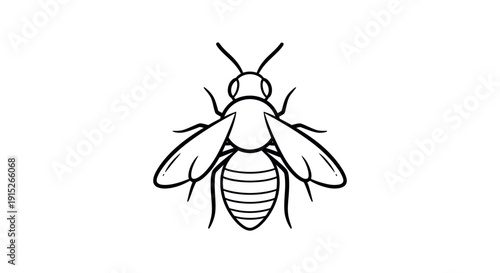 A minimalist line drawing of a bee with a striped abdomen and delicate wings, perfect for natural product packaging, educational content, or a clean graphic emblem in sustainable branding