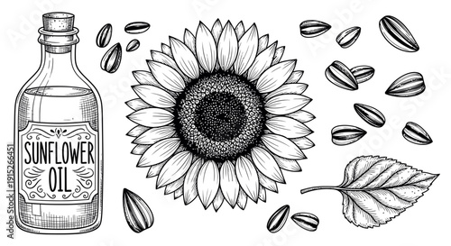 Glass bottle of natural sunflower oil accompanied by a blooming sunflower head, scattered seeds, and a fresh leaf, excellent for food blogs, cooking applications, and agricultural product