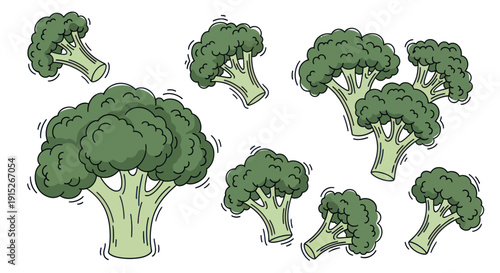 Vibrant green broccoli florets and whole heads are perfect for food blogs, healthy eating campaigns, recipe books, and nutritional educational materials.