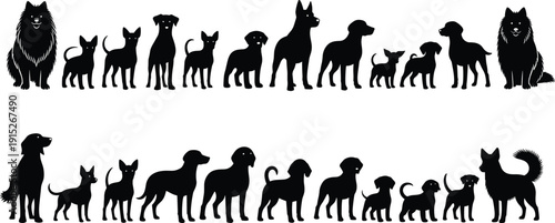 Black Vector Silhouette Set of Various Dog Breeds in Different Sizes and Poses Isolated on White Background for Pet Shop Veterinary and Canine Design