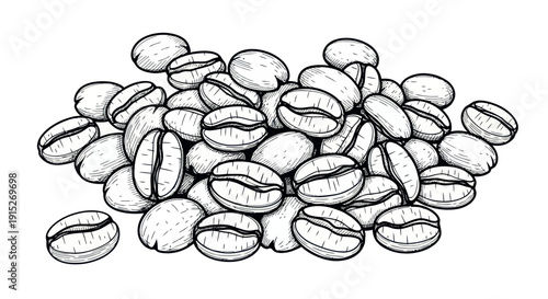 Handdrawn sketch of unroasted coffee beans arranged in a pile, perfect for food and beverage packaging, cafe menus, or organic product branding.