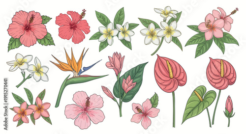 Vibrant collection of exotic tropical flowers featuring hibiscus, plumeria, bird of paradise, ginger, and anthurium, perfect for summer themes, vacation graphics, or botanical decoration