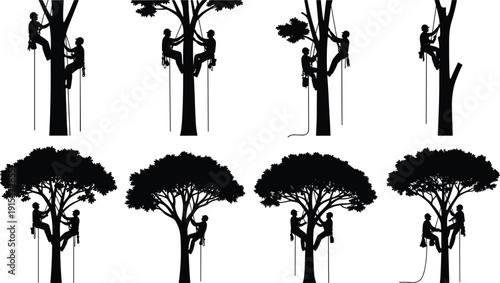 Set of arborist tree climbers silhouettes working with ropes and harness, professional tree cutting and pruning illustration isolated on white background