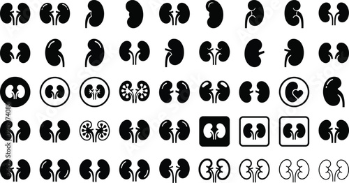 Human Kidney Silhouette Vector Icon Set – Black Renal Organ Clipart Collection
