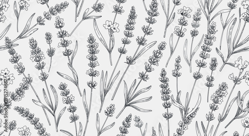 Seamless lavender plant botanical drawing suitable for textile prints, fabric, wallpaper, packaging, aromatherapy product labels, or decorative graphic backgrounds