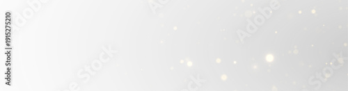 Premium Black Gold Sparkle