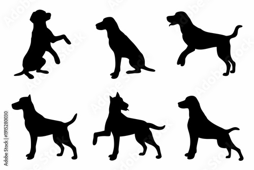 Silhouettes of various dog breeds in different poses and profiles