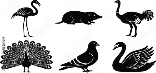Black and white animal silhouette illustrations featuring flamingo, mole, ostrich, peacock, pigeon, and swan, bold stylized design for educational and creative projects