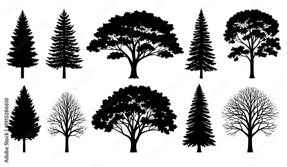 Fototapeta premium Various Tree Silhouettes Vector Set with Pine Deciduous and Bare Trees on White