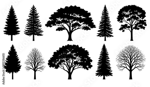 Wallpaper Mural Various Tree Silhouettes Vector Set with Pine Deciduous and Bare Trees on White Torontodigital.ca