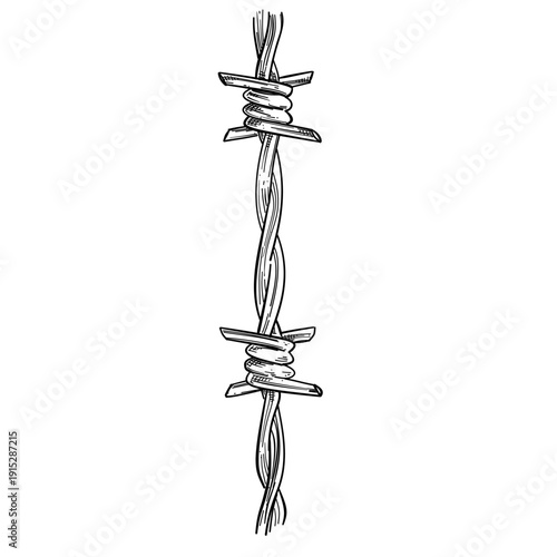 barbed wire vertical vector line art hand drawn illustration