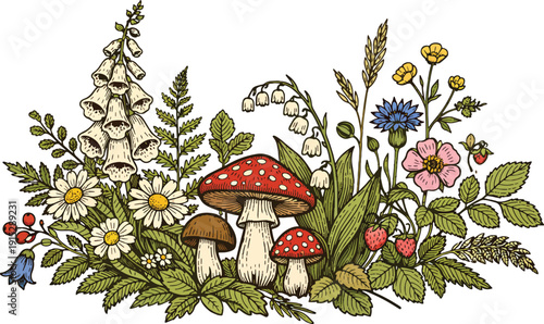 Hand drawn wildflower and forest mushrooms vector illustration on white background