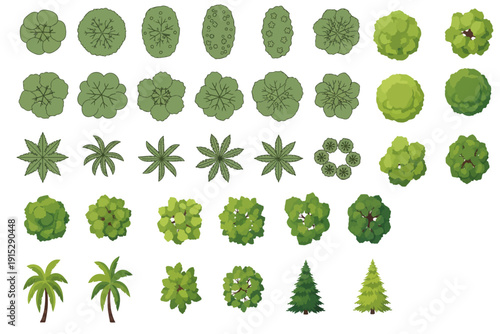 up high collection of diverse lush park plants and forest canopies arranged as detailed botanical design elements for versatile mapping projects.
