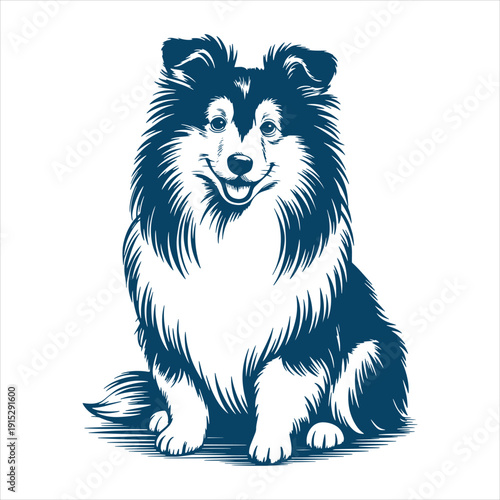 Shetland Sheepdog Front View Detailed Vector Illustration