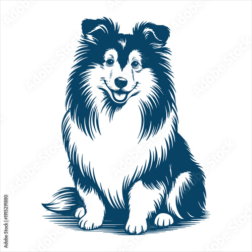 Shetland Sheepdog Sitting Detailed Vector Illustration
