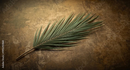 Religious Holy Week palm leaf on old vintage textured backdrop