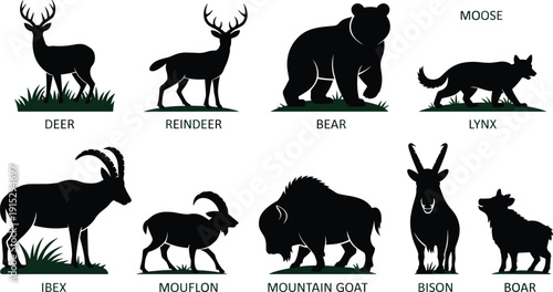 Black vector silhouette set of forest and mountain animals including deer reindeer bear lynx ibex mouflon mountain goat bison and boar for wildlife nature branding