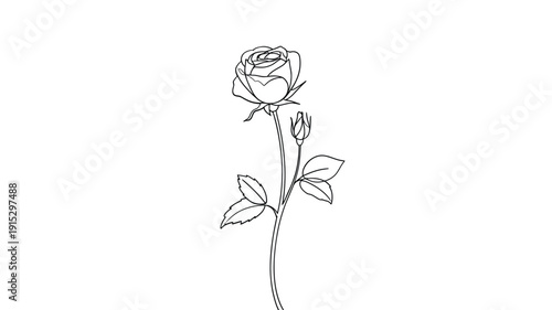 Simple line drawing of a tennis racket and ball illustration