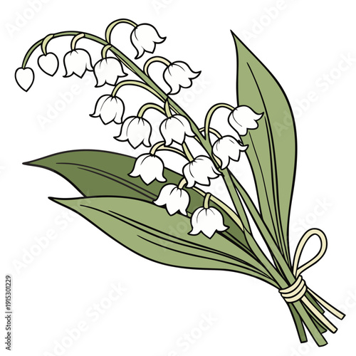Lily of the Valley Bouquet with White Bell Flowers Vector Illustration Transparent Background