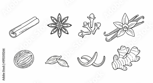 A diverse collection of spices and herbs, each with unique shapes and textures. Vector