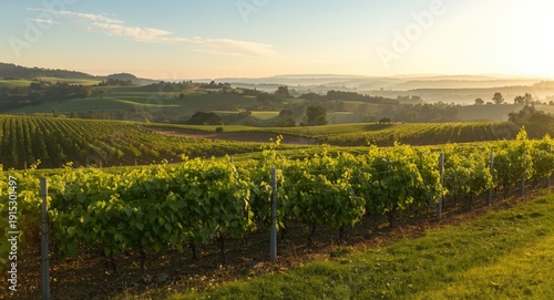 picturesque summer view of ...