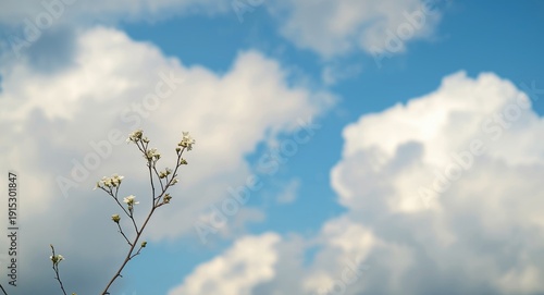 Serene scene with twig carr...