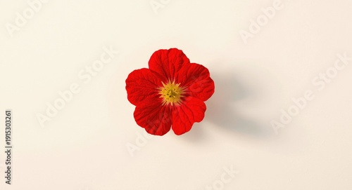 Studio image of a red nastu...