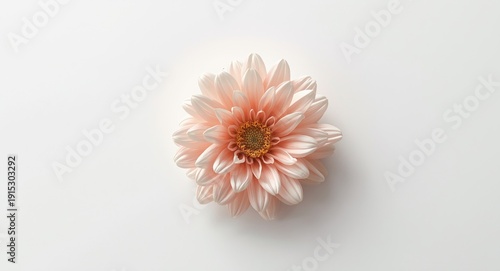 Painted bloom with fine det...