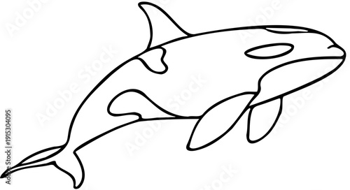 Killer whale line art illustration
