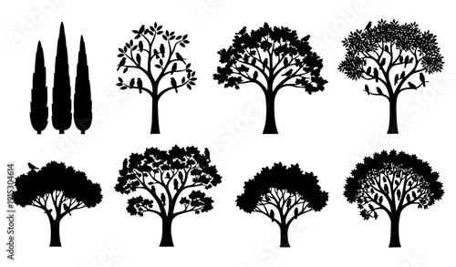 Creative woodland tree silhouettes with perched birds vector set