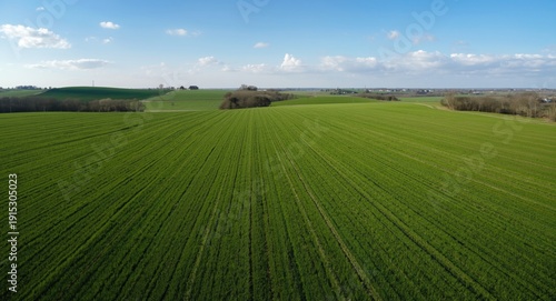 Aerial photograph of cultiv...
