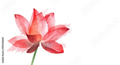 Watercolor sketch of a dynamic red lotus blossom with textured color layers