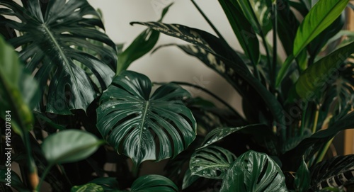 Natural foliage mix with Mo...