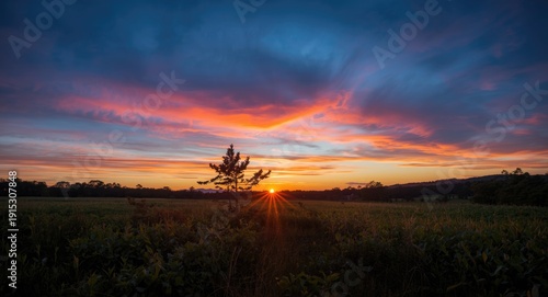 Idyllic natural scene illum...