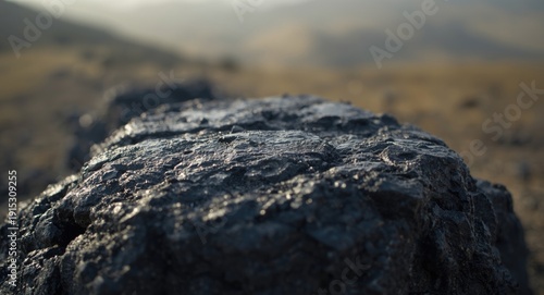 Porous texture of vesicular...