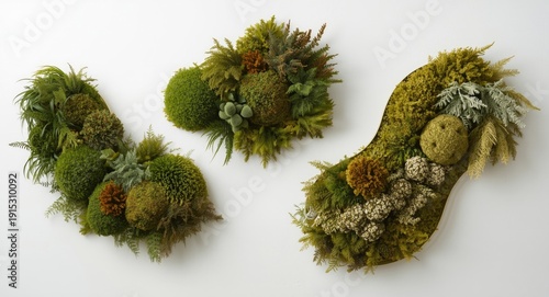 Three decorative stabilized...