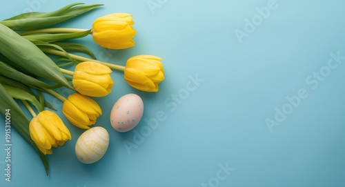 Seasonal yellow tulips and ...