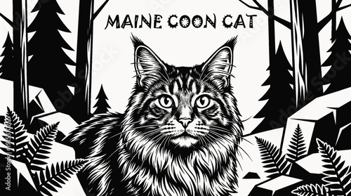 maine coon cat breed domestic feline pet animal portrait with thick fur whiskers large ears expressive eyes detailed realistic illustration black and white vector isolated