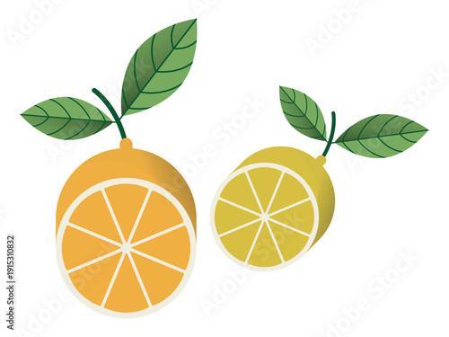 Orange and lemon sliced citrus fruits with green leaves isolated on white background