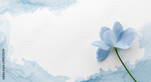 Blue flower and green branc...