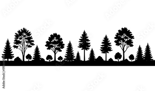 Deciduous Woodland and Conifer Tree Silhouette Border Vector Illustration EPS 10