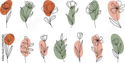 Variety of plant leaves in different shapes and colors on white background