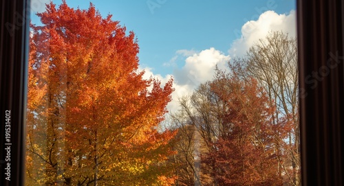 Trees ablaze with fall colo...