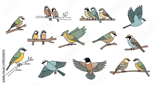 A collection of various small birds in different poses, some perched on branches, others in flight, illustrated with simple lines and colors.