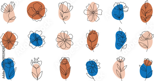 Variety of colorful seed pods and leaves on white background for botany or gardening reference